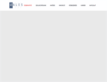 Tablet Screenshot of 4sales.hu